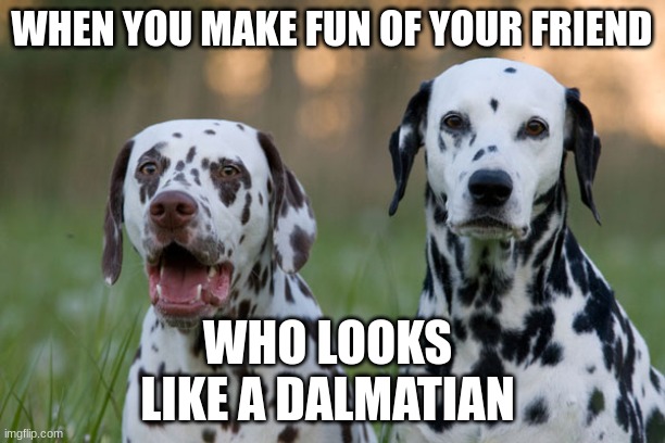 Punny Dalmatians | WHEN YOU MAKE FUN OF YOUR FRIEND; WHO LOOKS LIKE A DALMATIAN | image tagged in punny dalmatians | made w/ Imgflip meme maker