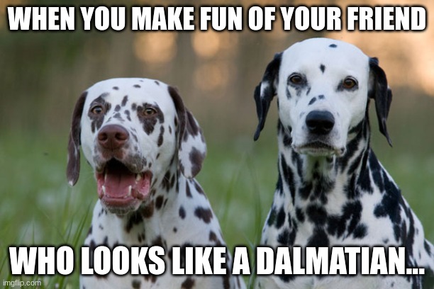 Punny Dalmatians | WHEN YOU MAKE FUN OF YOUR FRIEND; WHO LOOKS LIKE A DALMATIAN... | image tagged in punny dalmatians | made w/ Imgflip meme maker