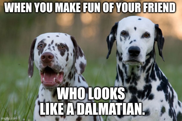 Punny Dalmatians | WHEN YOU MAKE FUN OF YOUR FRIEND; WHO LOOKS
 LIKE A DALMATIAN. | image tagged in punny dalmatians | made w/ Imgflip meme maker