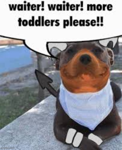 would you serve him some??? | image tagged in pit bull,toddler | made w/ Imgflip meme maker