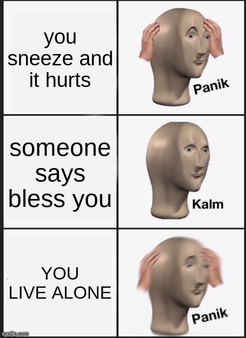 he dead | you sneeze and it hurts; someone says bless you; YOU LIVE ALONE | image tagged in memes,panik kalm panik | made w/ Imgflip meme maker