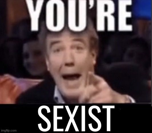 You're X (Blank) | SEXIST | image tagged in you're x blank | made w/ Imgflip meme maker