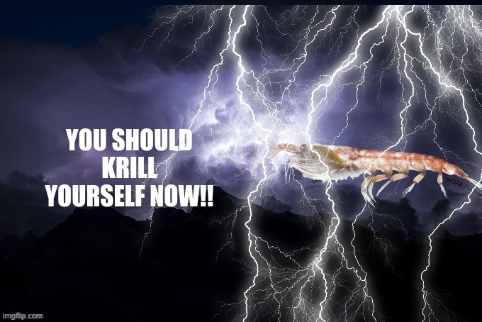 you should krill yourself NOW | image tagged in you should krill yourself now | made w/ Imgflip meme maker