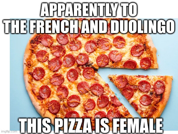 fr | APPARENTLY TO THE FRENCH AND DUOLINGO; THIS PIZZA IS FEMALE | image tagged in pizza,duolingo,french | made w/ Imgflip meme maker