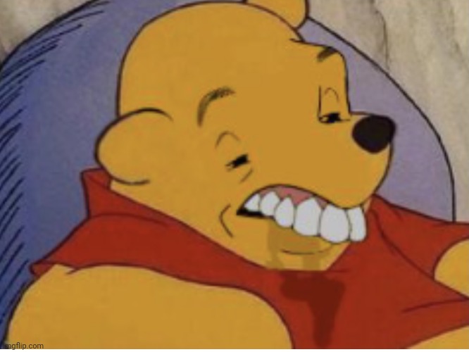 Dumb Winnie | image tagged in dumb winnie | made w/ Imgflip meme maker