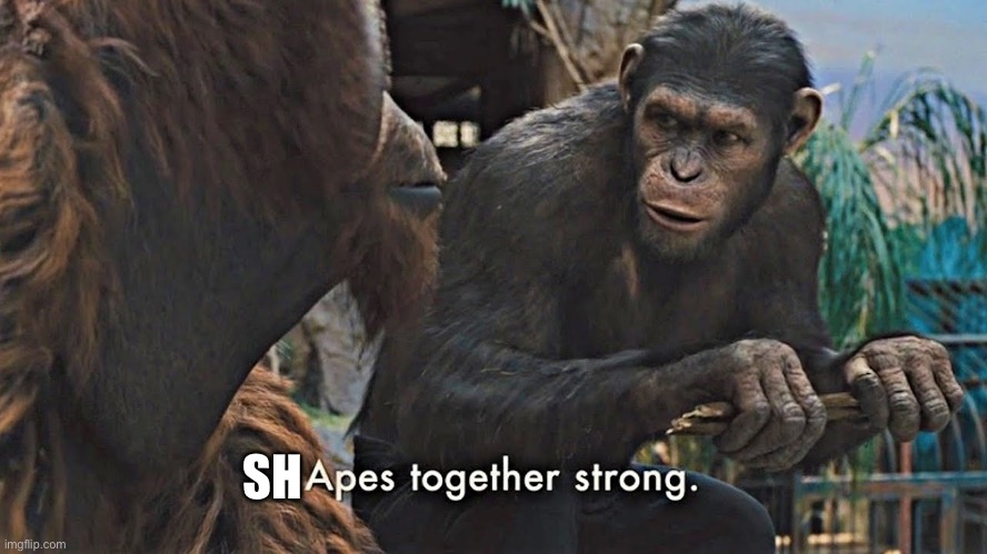 Ape together strong | SH | image tagged in ape together strong | made w/ Imgflip meme maker