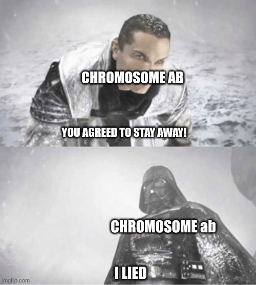 Prophase I in a nutshell | CHROMOSOME AB; YOU AGREED TO STAY AWAY! CHROMOSOME ab; I LIED | image tagged in vader lie | made w/ Imgflip meme maker