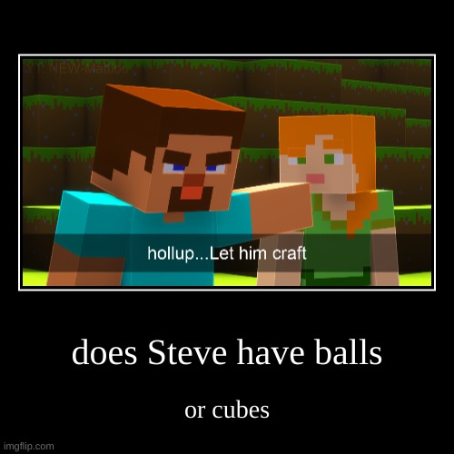 does Steve have balls | or cubes | image tagged in funny,demotivationals | made w/ Imgflip demotivational maker