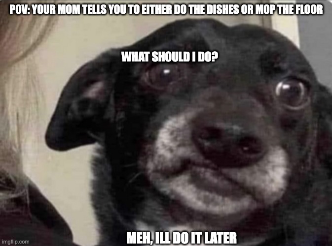 Meh | POV: YOUR MOM TELLS YOU TO EITHER DO THE DISHES OR MOP THE FLOOR; WHAT SHOULD I DO? MEH, ILL DO IT LATER | image tagged in dog | made w/ Imgflip meme maker