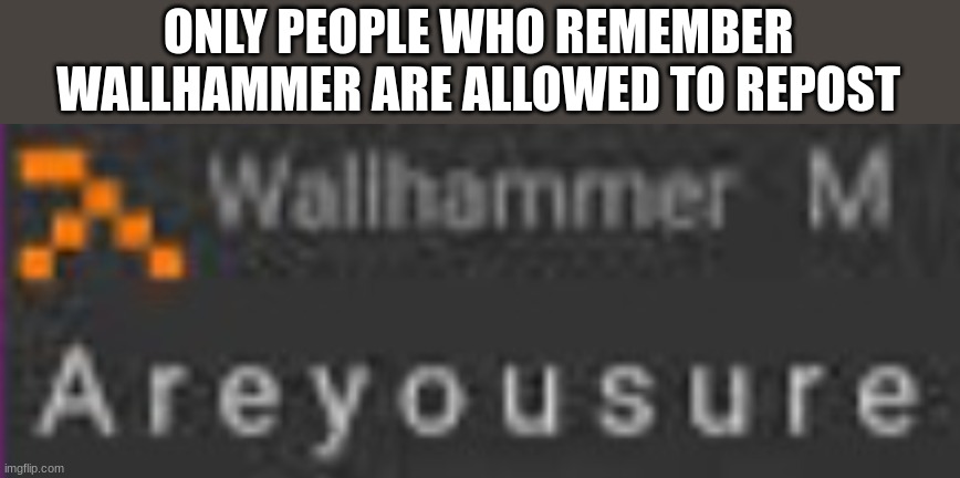 ONLY PEOPLE WHO REMEMBER WALLHAMMER ARE ALLOWED TO REPOST | made w/ Imgflip meme maker