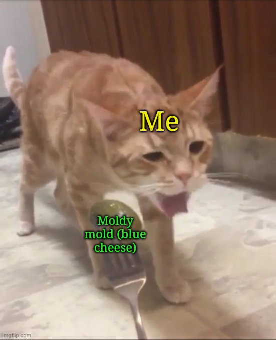 YUCK HUMAN | Me Moldy mold (blue cheese) | image tagged in yuck human | made w/ Imgflip meme maker
