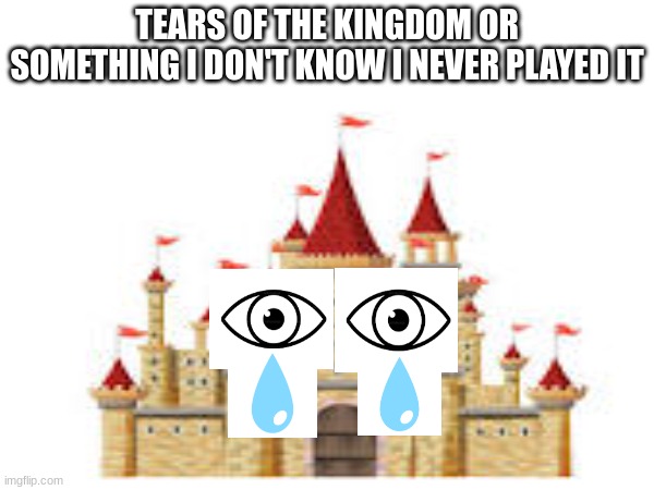 sorry for the low quality | TEARS OF THE KINGDOM OR SOMETHING I DON'T KNOW I NEVER PLAYED IT | image tagged in memes,funny | made w/ Imgflip meme maker