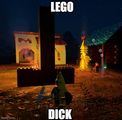 fortnite lego js got wild | LEGO; DICK | image tagged in wild,fortnite meme | made w/ Imgflip meme maker