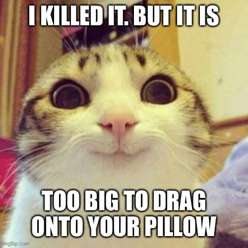 Smiling Cat Meme | I KILLED IT. BUT IT IS TOO BIG TO DRAG ONTO YOUR PILLOW | image tagged in memes,smiling cat | made w/ Imgflip meme maker