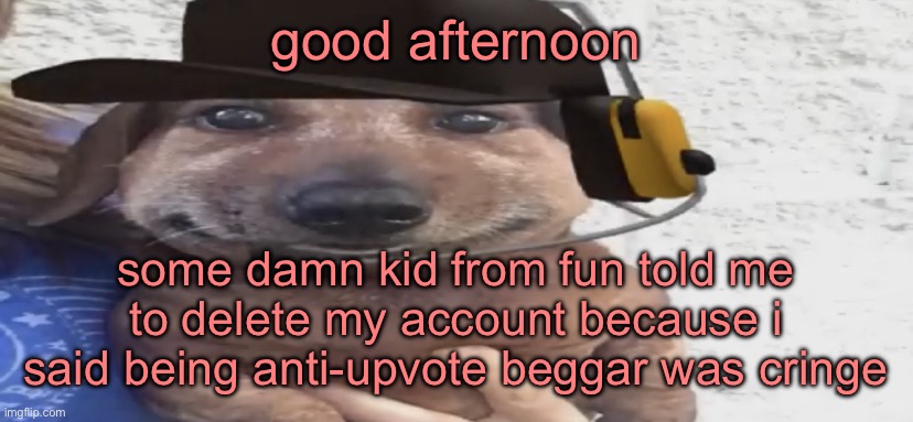 i mean upvote begging is bad, but pointing it out is worse | good afternoon; some damn kid from fun told me to delete my account because i said being anti-upvote beggar was cringe | image tagged in chucklenuts | made w/ Imgflip meme maker