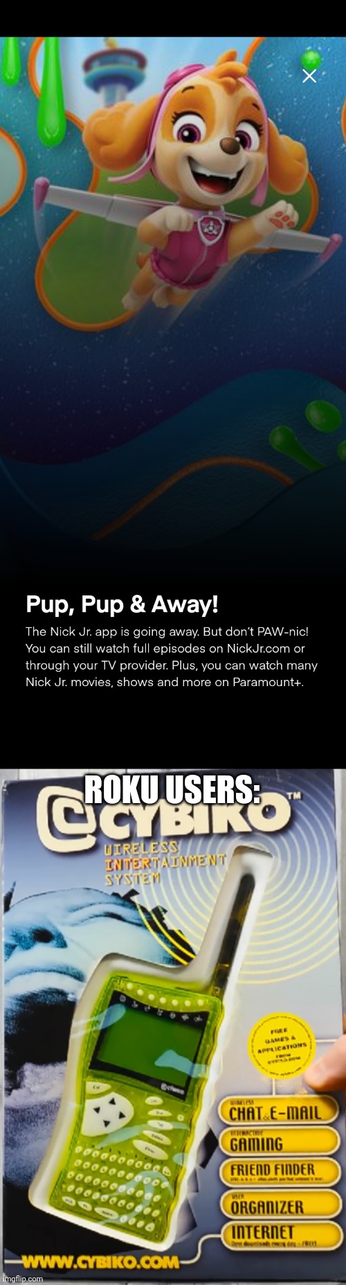 R.I.P Nick Jr. App (2014 - 2024) | ROKU USERS: | image tagged in cybiko box,nick jr | made w/ Imgflip meme maker