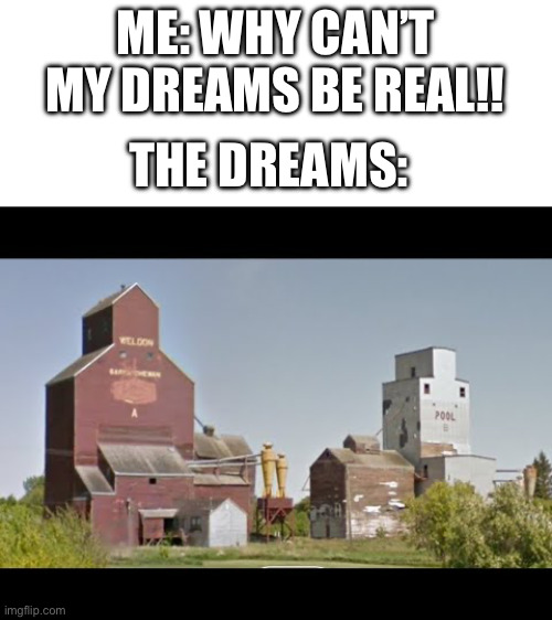Why can’t they be real? | ME: WHY CAN’T MY DREAMS BE REAL!! THE DREAMS: | image tagged in tf2,reality | made w/ Imgflip meme maker