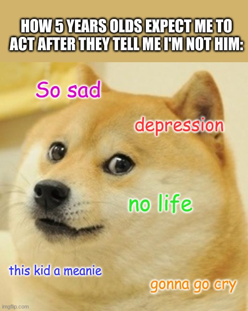 Doge | HOW 5 YEARS OLDS EXPECT ME TO ACT AFTER THEY TELL ME I'M NOT HIM:; So sad; depression; no life; this kid a meanie; gonna go cry | image tagged in memes,doge | made w/ Imgflip meme maker