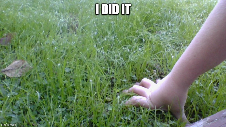touching grass | I DID IT | image tagged in touching grass | made w/ Imgflip meme maker