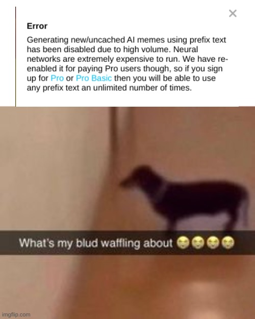 what?! | image tagged in what's my blud waffling about,error | made w/ Imgflip meme maker