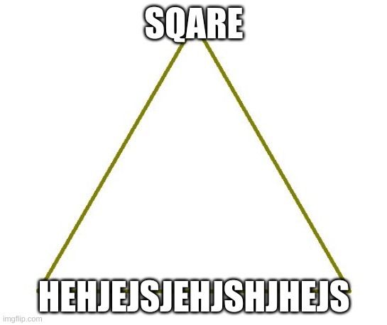 sqare | SQARE; HEHJEJSJEHJSHJHEJS | image tagged in triangle | made w/ Imgflip meme maker