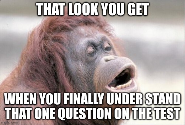 test | THAT LOOK YOU GET; WHEN YOU FINALLY UNDER STAND THAT ONE QUESTION ON THE TEST | image tagged in memes,monkey ooh | made w/ Imgflip meme maker