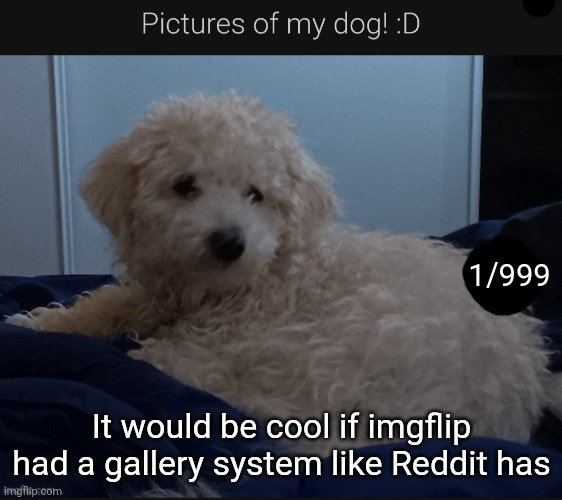 1/999; It would be cool if imgflip had a gallery system like Reddit has | made w/ Imgflip meme maker