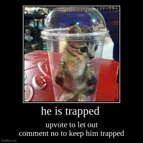 he is trapped | upvote to let out comment no to keep him trapped | image tagged in funny,demotivationals | made w/ Imgflip demotivational maker
