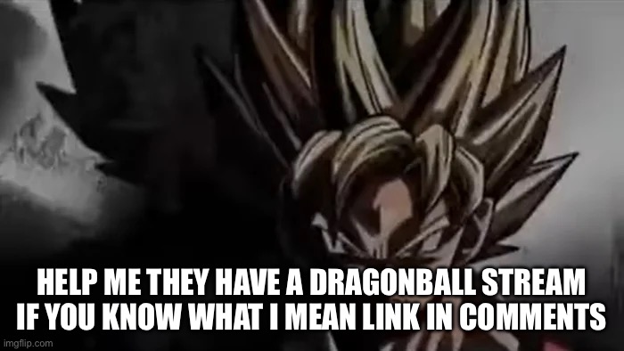 HELP | HELP ME THEY HAVE A DRAGONBALL STREAM IF YOU KNOW WHAT I MEAN LINK IN COMMENTS | image tagged in goku staring | made w/ Imgflip meme maker