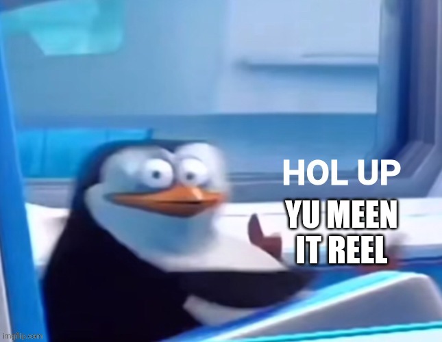 Hol up | YU MEEN IT REEL | image tagged in hol up | made w/ Imgflip meme maker