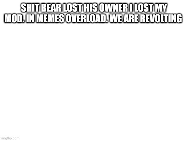 SHIT BEAR LOST HIS OWNER I LOST MY MOD. IN MEMES OVERLOAD. WE ARE REVOLTING | made w/ Imgflip meme maker