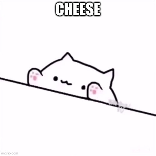 bongo cat | CHEESE | image tagged in bongo cat | made w/ Imgflip meme maker