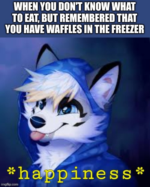 Furry happiness | WHEN YOU DON'T KNOW WHAT TO EAT, BUT REMEMBERED THAT YOU HAVE WAFFLES IN THE FREEZER | image tagged in furry happiness,fun,funny,waffles,furry | made w/ Imgflip meme maker