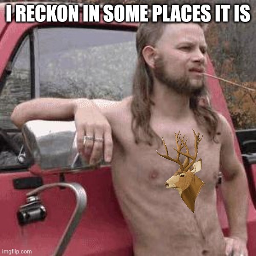 almost redneck | I RECKON IN SOME PLACES IT IS | image tagged in almost redneck | made w/ Imgflip meme maker