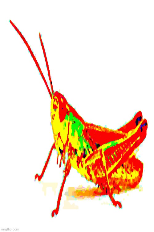 Aint ever watching it again | image tagged in aint ever watching it again | made w/ Imgflip meme maker