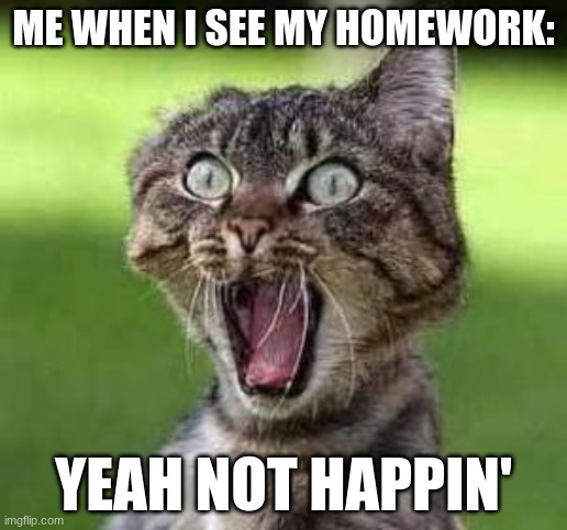 scared cat | ME WHEN I SEE MY HOMEWORK:; YEAH NOT HAPPIN' | image tagged in scared cat | made w/ Imgflip meme maker