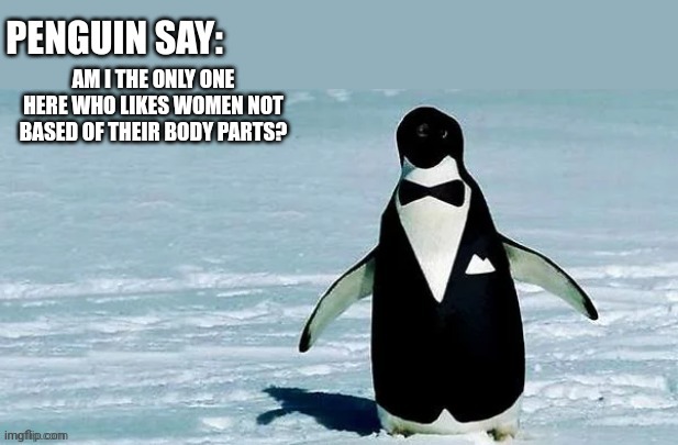 cocky_balls announcement temp | AM I THE ONLY ONE HERE WHO LIKES WOMEN NOT BASED OF THEIR BODY PARTS? | image tagged in cocky_balls announcement temp | made w/ Imgflip meme maker
