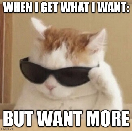 Cool cat | WHEN I GET WHAT I WANT:; BUT WANT MORE | image tagged in cool cat | made w/ Imgflip meme maker