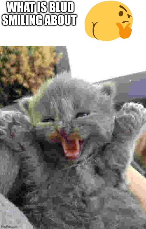 what is blud smiling about? | made w/ Imgflip meme maker