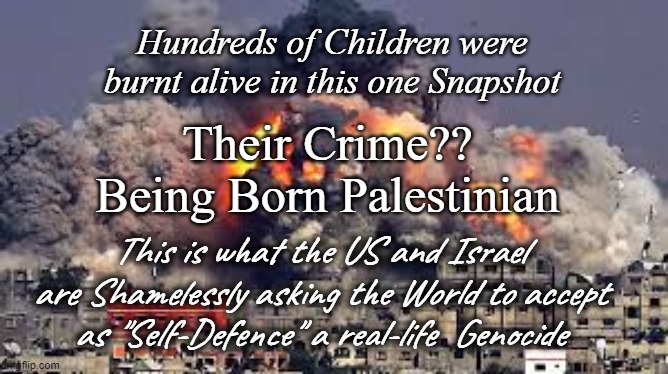 IDF | Hundreds of Children were burnt alive in this one Snapshot; Their Crime?? Being Born Palestinian; This is what the US and Israel are Shamelessly asking the World to accept as "Self-Defence" a real-life  Genocide | image tagged in idf | made w/ Imgflip meme maker