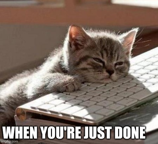 My literal feelings right now lol | WHEN YOU'RE JUST DONE | image tagged in tired cat,tired,i can't take it anymore,relatable,bored keyboard cat,cat | made w/ Imgflip meme maker