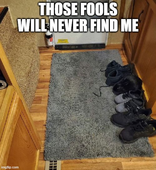 Hidden Bunny | THOSE FOOLS WILL NEVER FIND ME | image tagged in bunnies | made w/ Imgflip meme maker