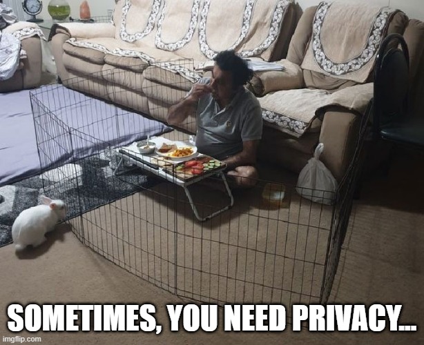 Privacy | SOMETIMES, YOU NEED PRIVACY... | image tagged in bunnies | made w/ Imgflip meme maker