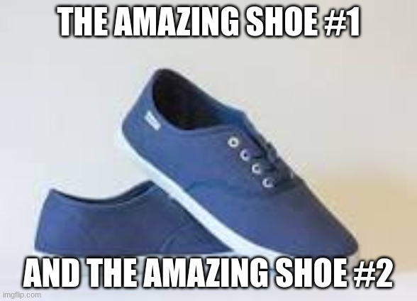 this is going to get stupidly famous | THE AMAZING SHOE #1; AND THE AMAZING SHOE #2 | image tagged in shoes | made w/ Imgflip meme maker