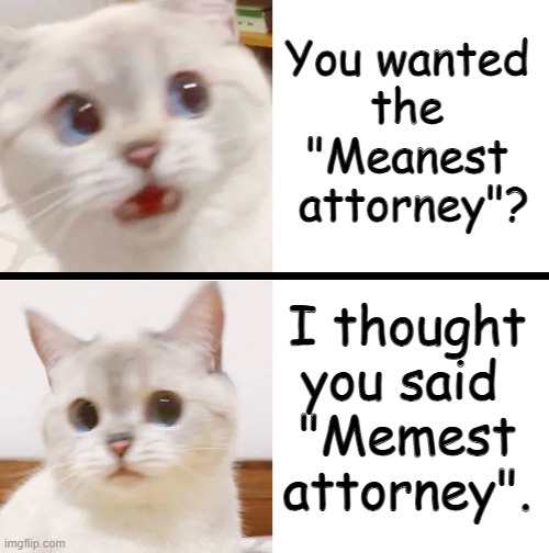 Attorney Jokes | You wanted 
the 
"Meanest 
attorney"? I thought
you said 
"Memest attorney". | image tagged in cute cat scared but ok,attorney,memes | made w/ Imgflip meme maker