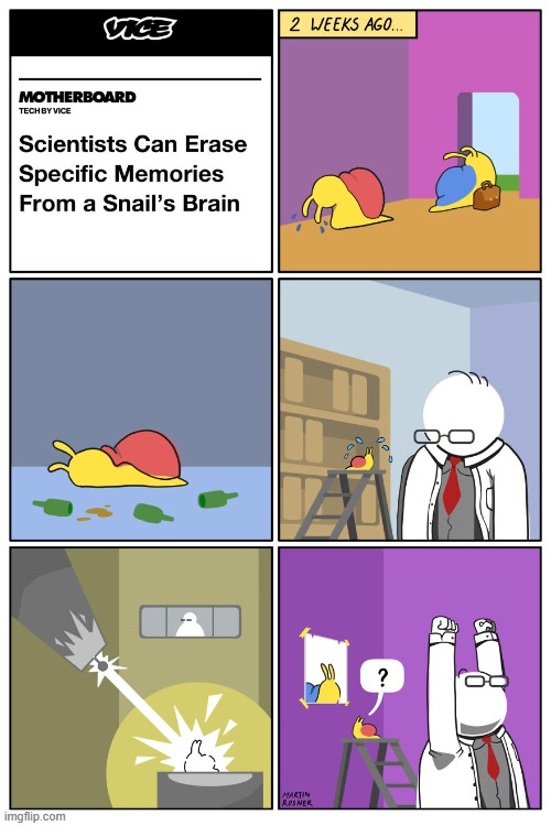 Poor snail :( | image tagged in snail,scientist,memories,divorce,sadness,memory loss | made w/ Imgflip meme maker