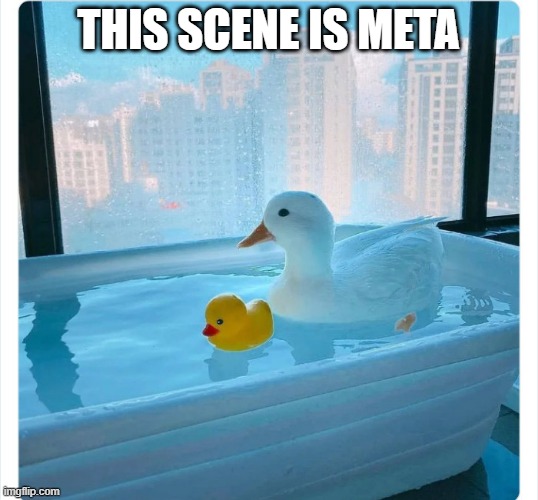 Meta | THIS SCENE IS META | image tagged in ducks | made w/ Imgflip meme maker