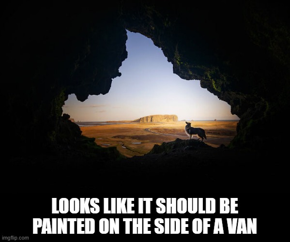 Dog Scene | LOOKS LIKE IT SHOULD BE PAINTED ON THE SIDE OF A VAN | image tagged in dogs | made w/ Imgflip meme maker