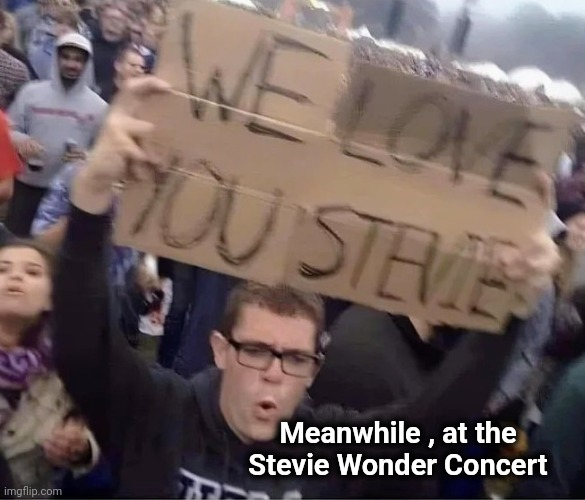 Task failed successfully | Meanwhile , at the Stevie Wonder Concert | image tagged in comedy genius,well yes but actually no,i see what you did there,but why why would you do that | made w/ Imgflip meme maker