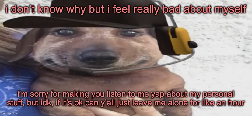 chucklenuts | i don’t know why but i feel really bad about myself; i’m sorry for making you listen to me yap about my personal stuff, but idk, if it’s ok can y’all just leave me alone for like an hour | image tagged in chucklenuts | made w/ Imgflip meme maker